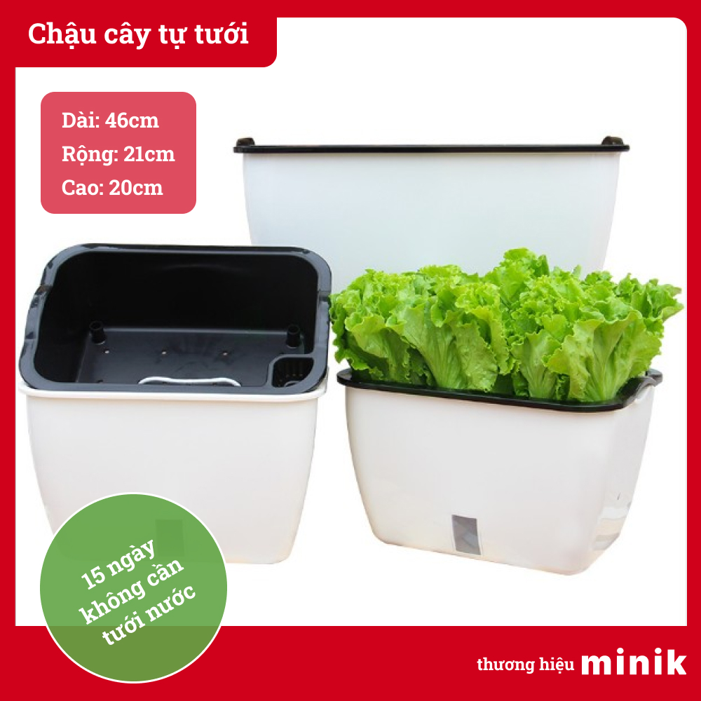 Chậu trồng rau, trồng cây tự dưỡng MINIK, kích thước lớn, với thiết kế thông minh tự tưới, thích hợp để trong nhà hoặc ban công, 14 - 21 ngày không cần tưới nước