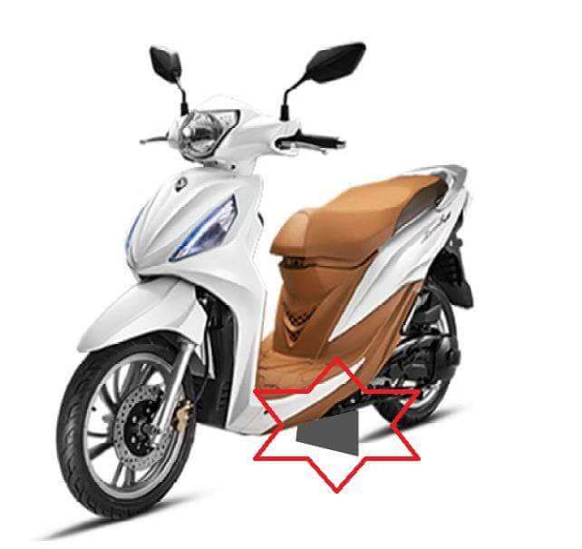 [HCM]TẤM CHẮN ĐINH XE GA