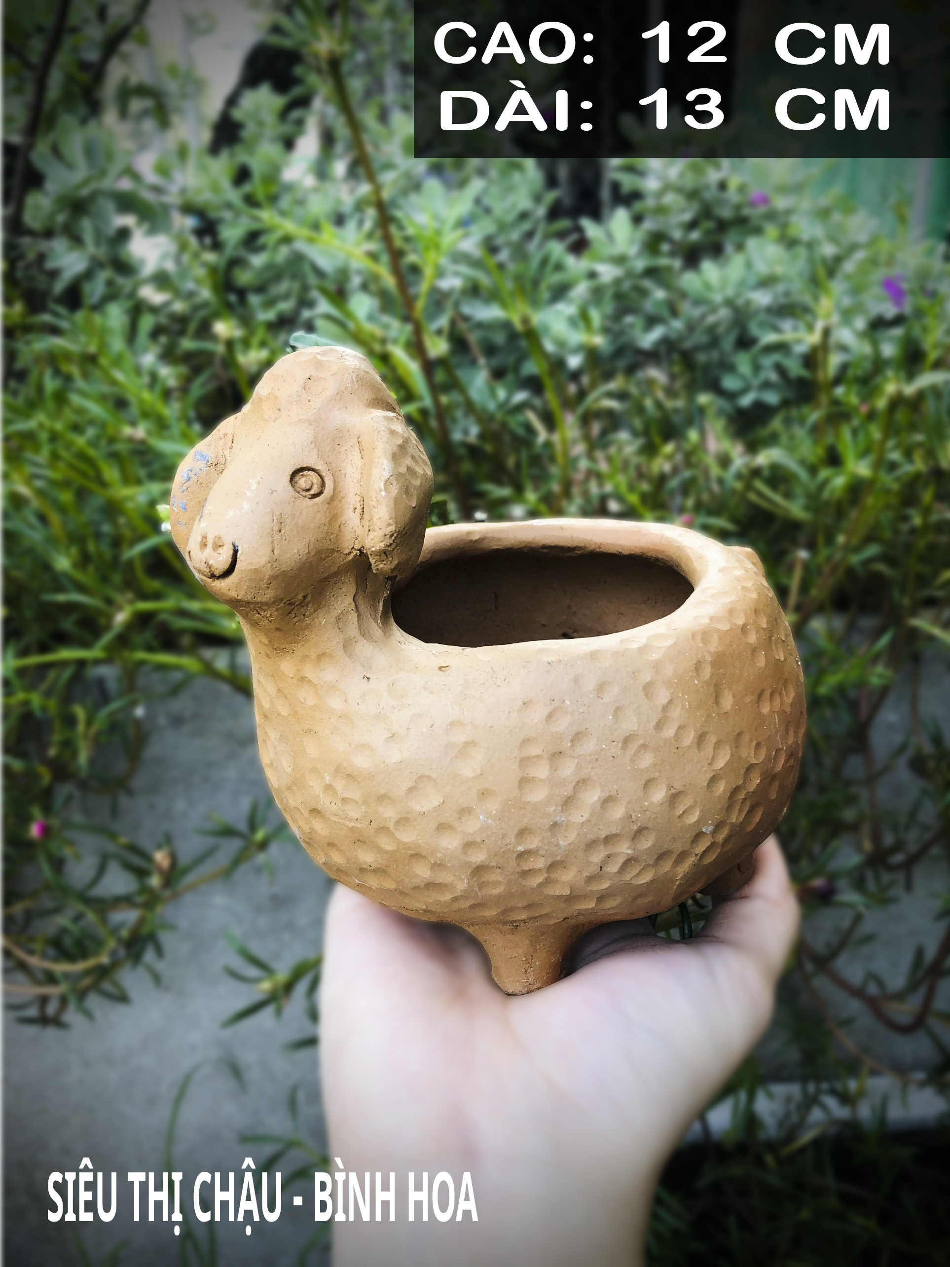 Chậu trồng sen đá, chậu cây tiểu cảnh, chậu tiểu cảnh mini - GỐM BÀU TRÚC CỪU LỚN