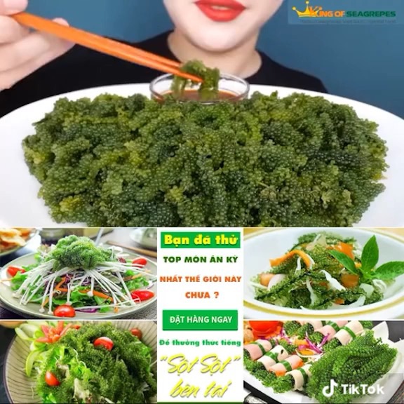 [HCM]Bán sỉ Combo 5 túi rong nho Green Food  1 túi nở ra 400gr rong nho tươi