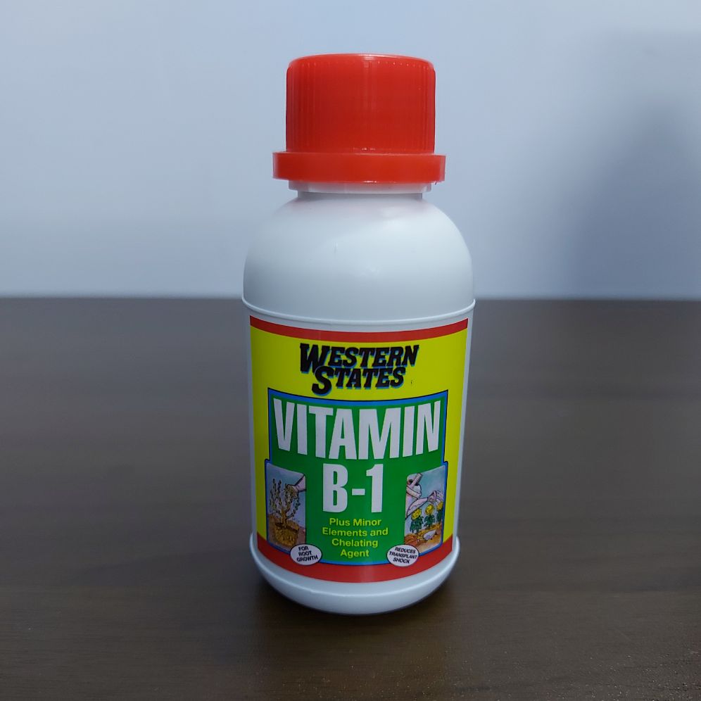 [HCM]Vitamin B1 cho cây trồng 100ml (Chiết từ can 1 gallon - Hàng nhập USA)