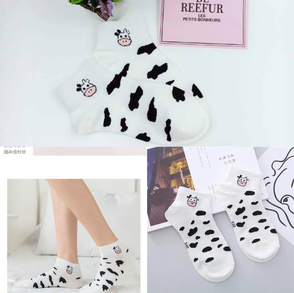 Sét 5 đôi tất bò sữa cổ cao thấp nam nữ đi đẹp dệt kim cao cấp