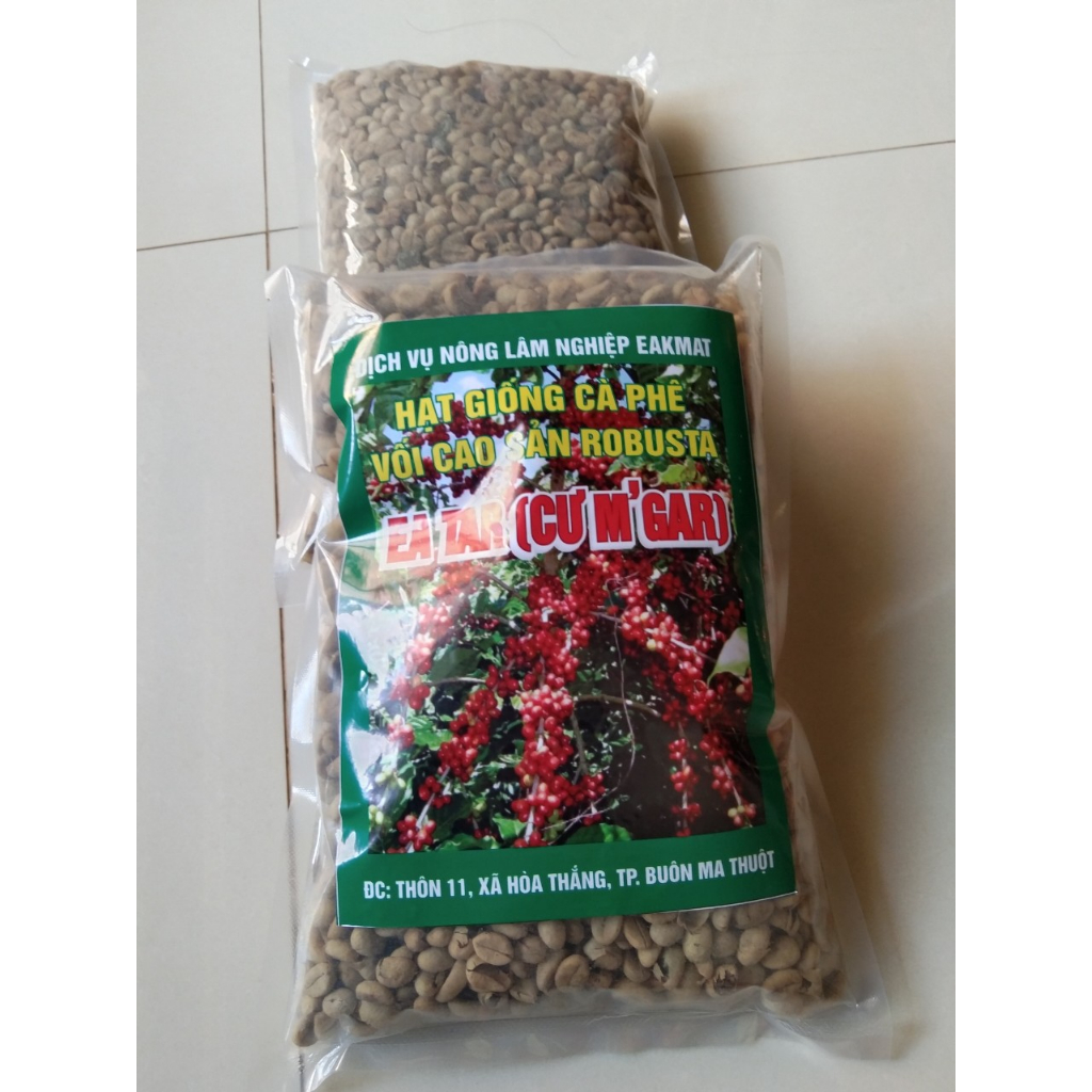 1kg hạt giống cà phê ea tar gói 1kg
