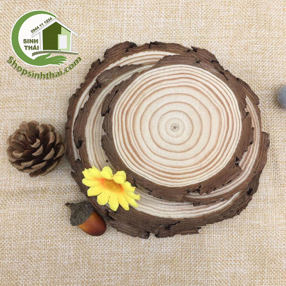[HCM]Miếng gỗ tròn - khoanh gỗ tròn trang trí  - gỗ thông tự nhiên - miếng nhỏ 8cm x dày 12cm
