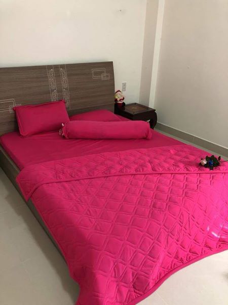 Bộ drap thun hàn 1 màu
