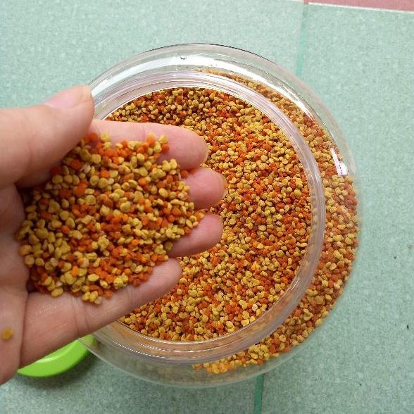 500g Phấn hoa rừng hảo hạng