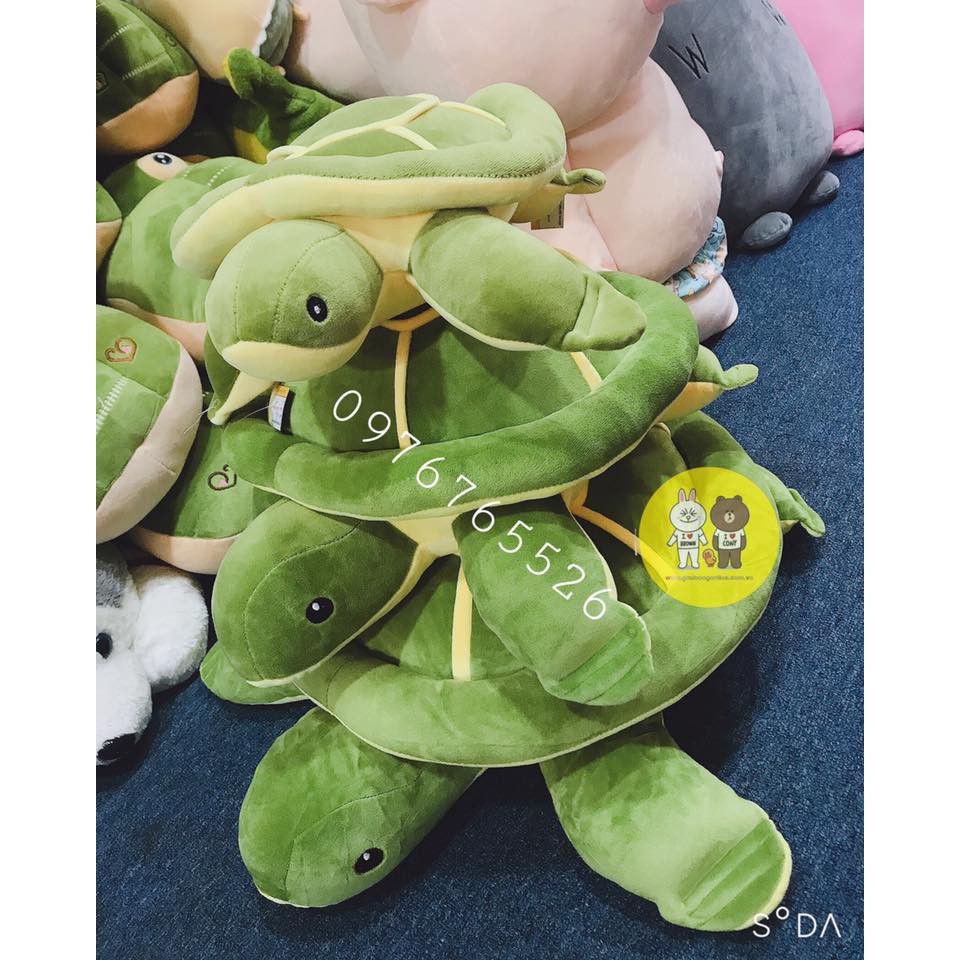 Gấu bông con rùa biển kích thước 70-90cm Xưởng gấu bông Việt Nam