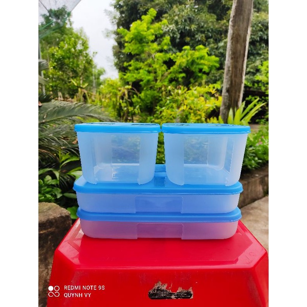 Hộp trữ đông Tupperware ♥️ bộ ngăn đông Tup♥️ set 4 hộp dẹt và cao