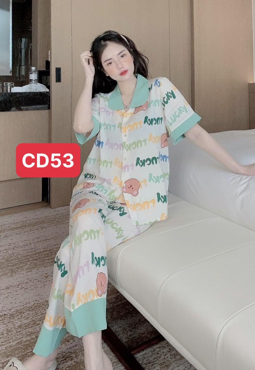 ☘️☘️ rẻ vô địch ☘️☘️ pijama , tay dài quần dài 🌹 nhiều màu🌹 free size từ 40-60kg.
