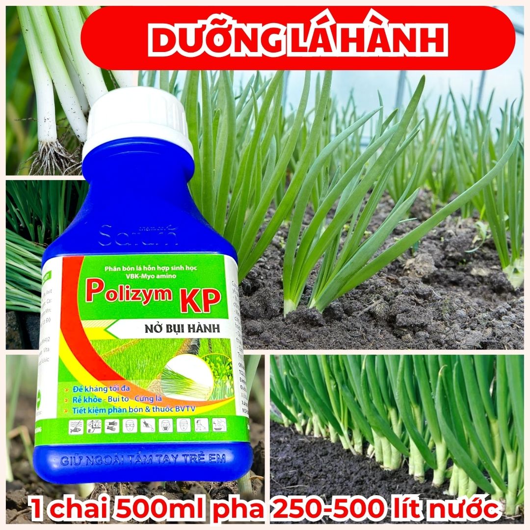 PHÂN BÓN LÁ POLIZYM KP – NỞ BỤI HÀNH – RỄ KHỎE – CỨNG LÁ – CHAI 500ML