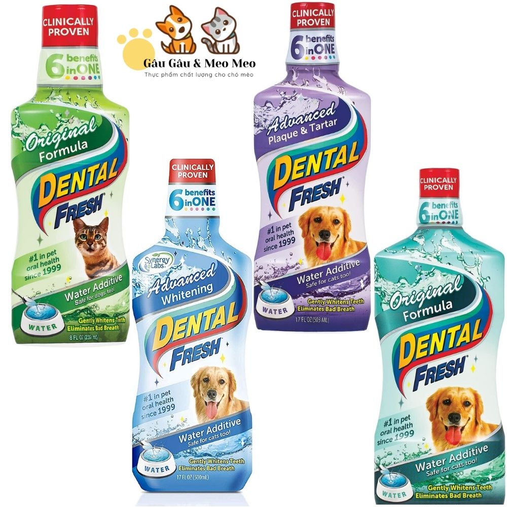 Dental fresh dung dịch vệ sinh răng miệng thú cưng chai 237ml