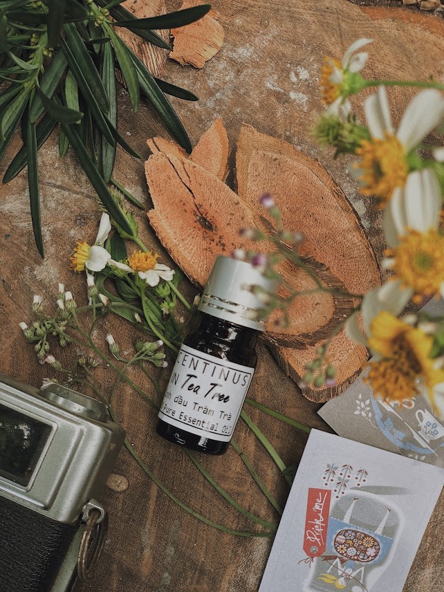 Tinh dầu tràm trà - tea tree