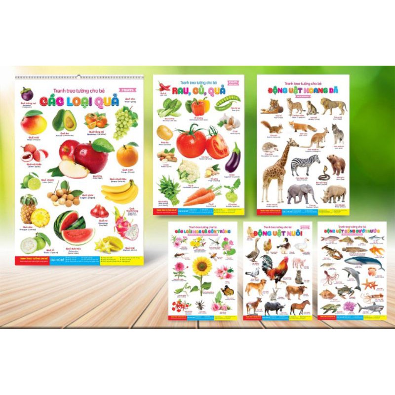 Đồ Chơi Tranh Treo Tường 14 Chủ Đề Cho Bé Phát Triển Tư Duy