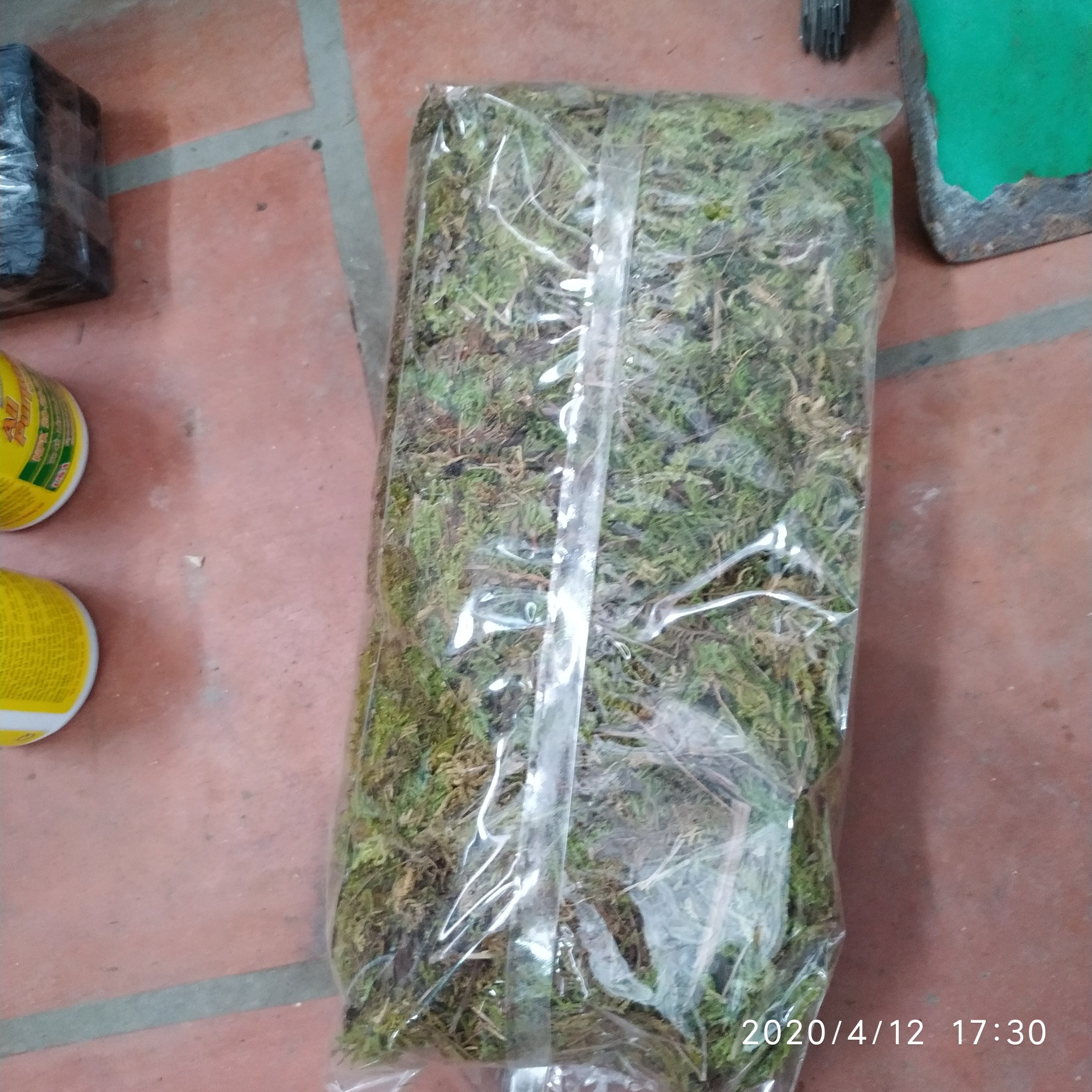 1 gói rêu rừng 200g giữ ẩm cho lan