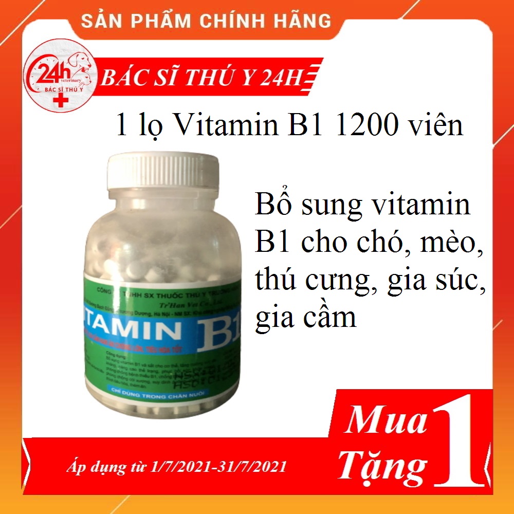 Thuốc thú y vitamin b1 1200 viên thú y