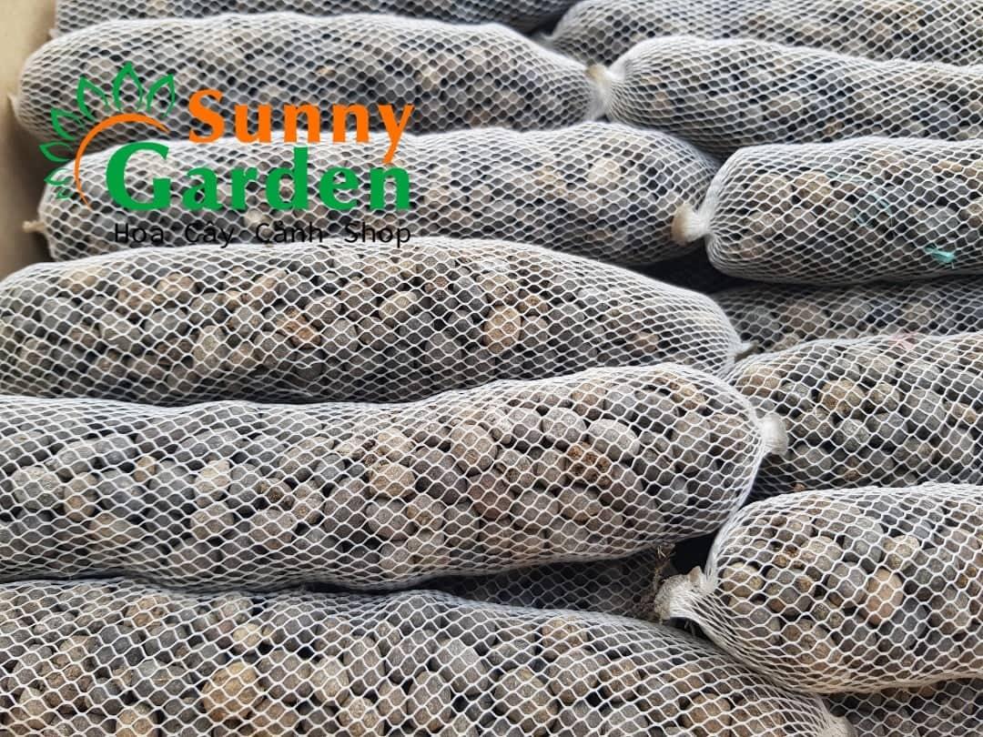 Phân dê tan chậm bón cho hoa lan
