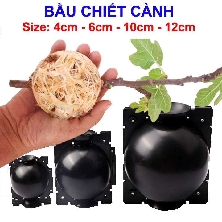 5 Bầu chiết cành 4cm 6cm 10cm 12cm, tăng khả năng ra rễ, chống úng cành chiết, tái sử dụng nhiều lần