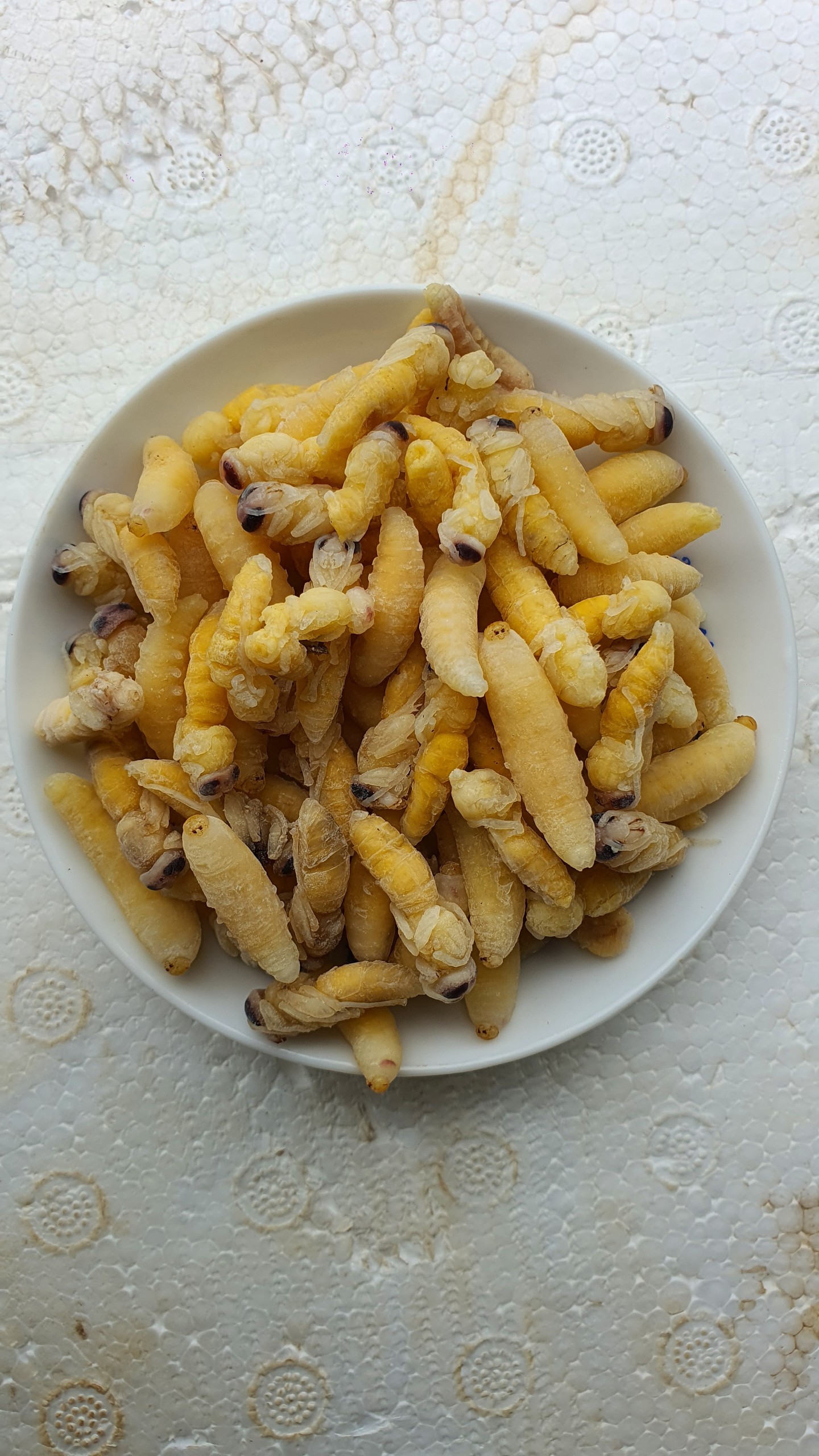 Nhộng ong vò vẽ làm sạch ủ đá đóng gói hộp xốp - 1kg