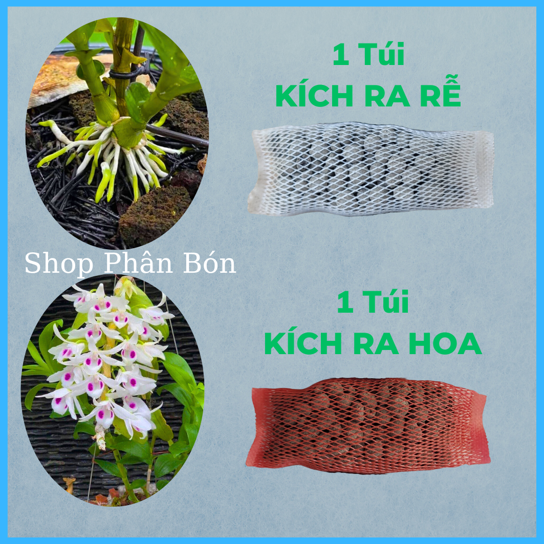 Phân bón kích thích ra hoa, ra rễ cho hoa lan, cây kiểng, dưỡng cây, tan chậm