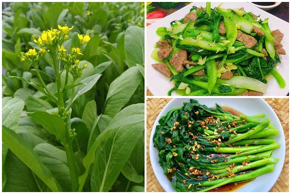 Hạt giống rau cải ngồng xanh 20gr