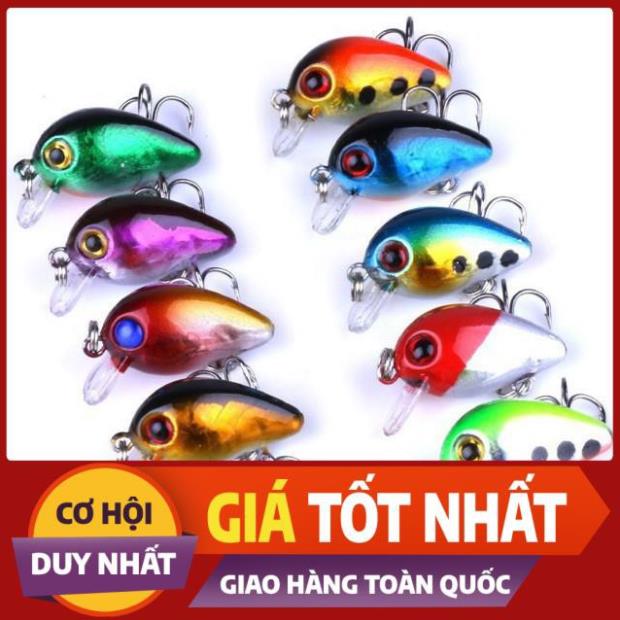 Mồi ruồi câu cá chuyên các loại cá rô phi, rô ta, chuối, lóc, sộp, thiểu