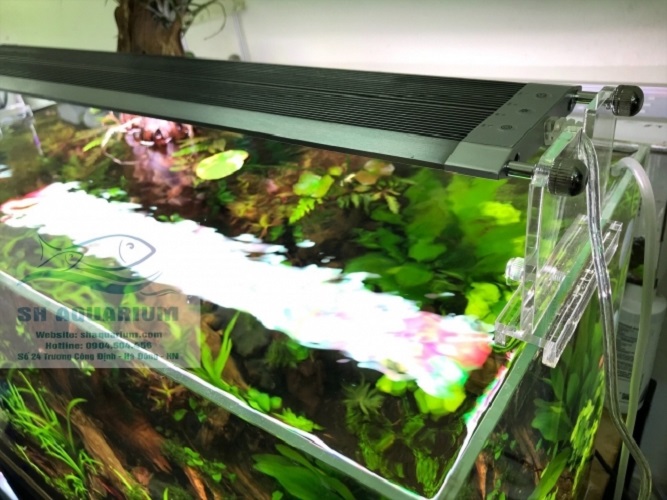 [HOÀN TIỀN 10%]ĐÈN LED WEEK RAPTOR RGB D90CM