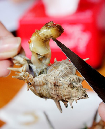 Kim khều ốc inox 304 ( Set 50 chiếc/ túi) bền-đẹp-rẻ-an toàn