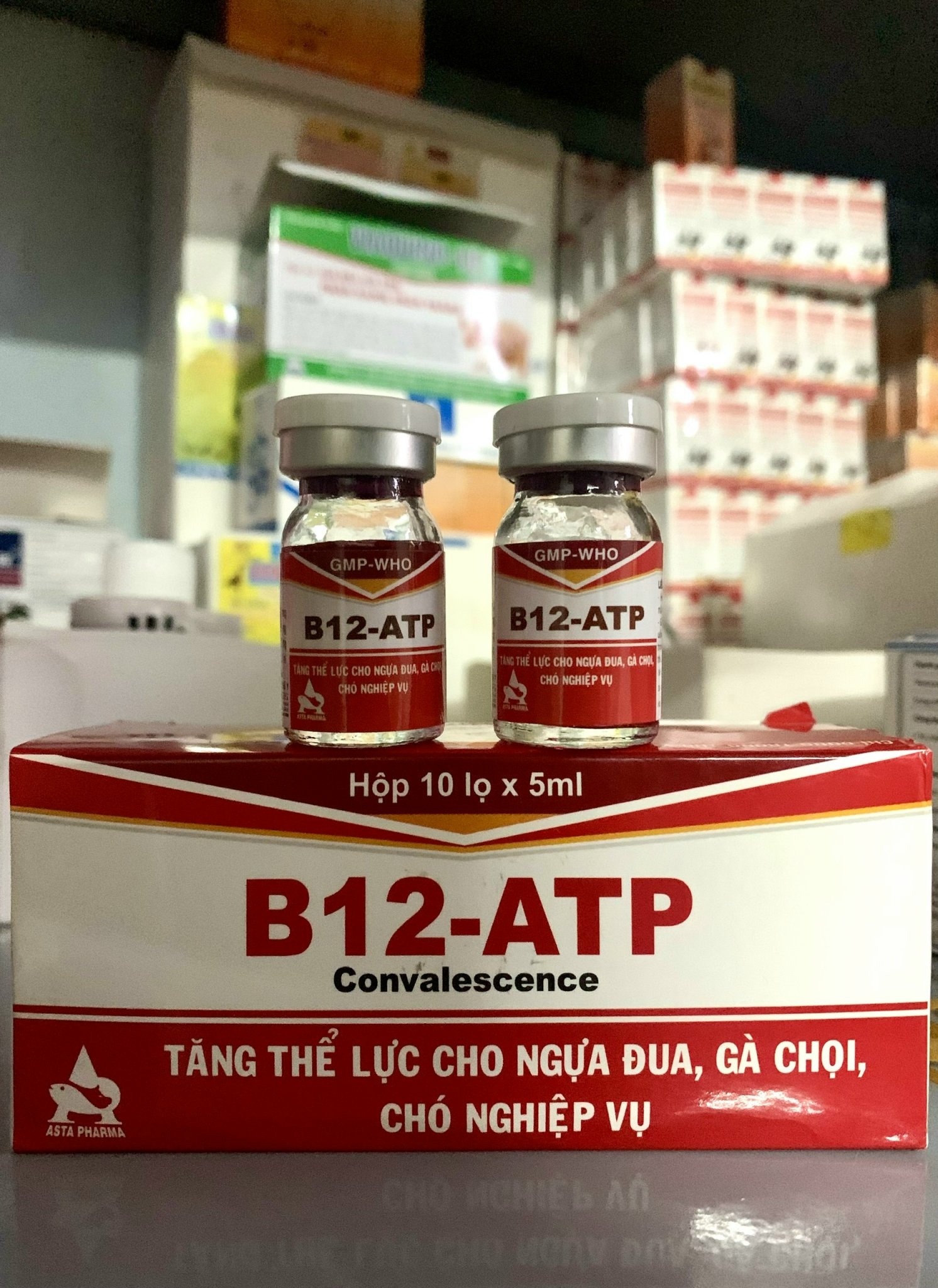 B12-ATP 5ML TĂNG THỂ LỰC CHIẾN KÊ