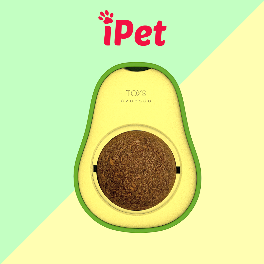 Viên cỏ CATNIP gắn tường hỗ trợ giảm stress giúp mèo tiêu búi lông hình gấu mèo - iPet Shop