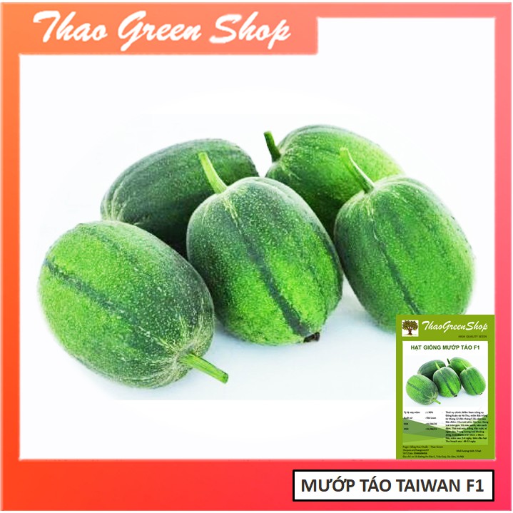 Hạt giống mướp Táo Đài Loan giòn, ngọt, đặc ruột - 5 hạt