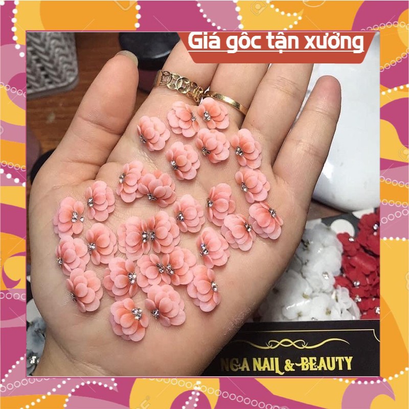 Cúc tầng bột mỹ hoa bột giá sỉ