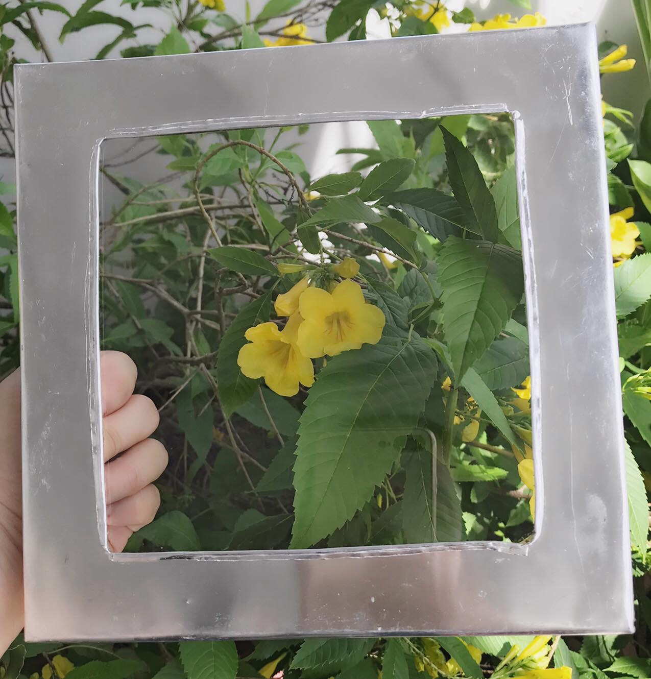 Transparent moulds