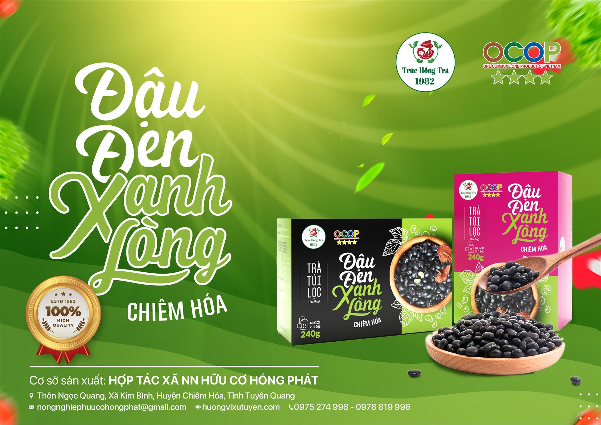 Trà túi lọc Hà Thủ Ô và Đậu Đen Xanh Lòng hỗ trợ giấc ngủ ngon và cải thiện tình trạng bạc tóc