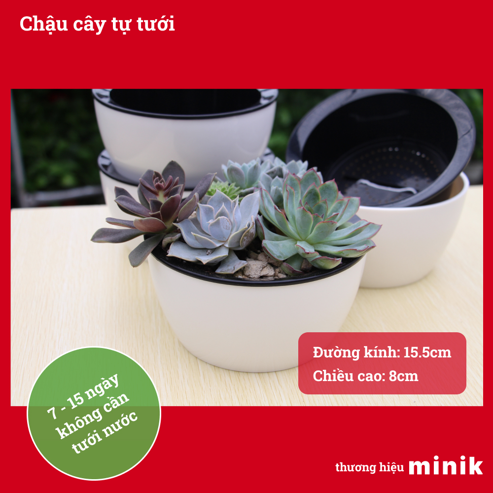 Chậu trồng cây tự dưỡng MINIK, màu trắng, chậu thông minh tự tưới, 10-21 ngày không cần phải tưới nước, kích thước chậu 16cm x 8cm