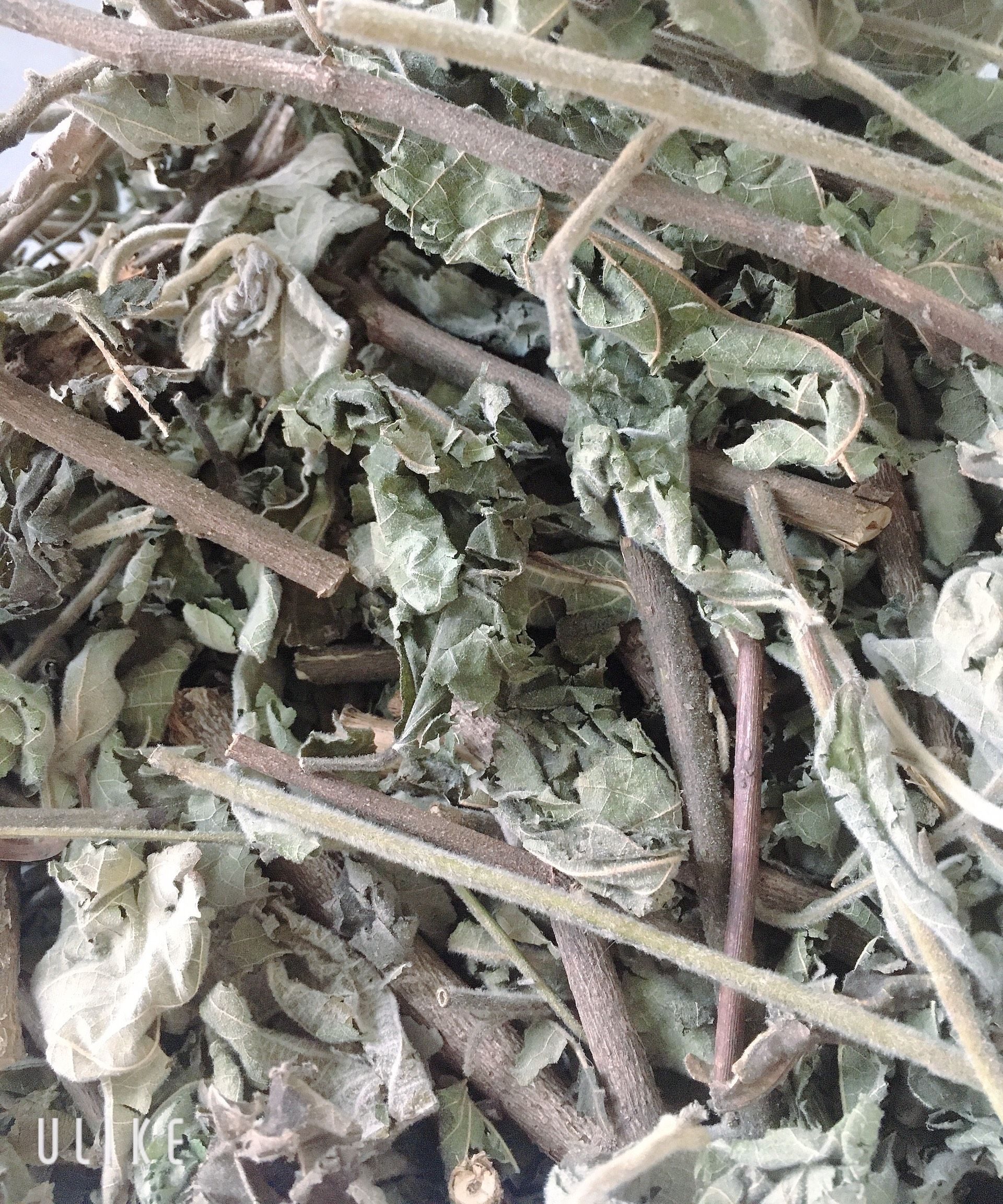 1kg Cây an xoa hoa tím - khoẻ cho lá GAN của bạn