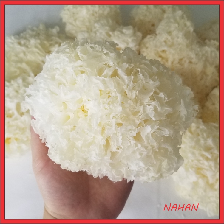 Nấm Tuyết - Tuyết Nhĩ 200g Loại Nguyên Bông