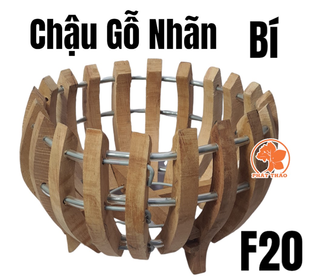 Chậu gỗ trồng lan f20cm - mẫu bí - gỗ nhãn tặng lưới và móc treo