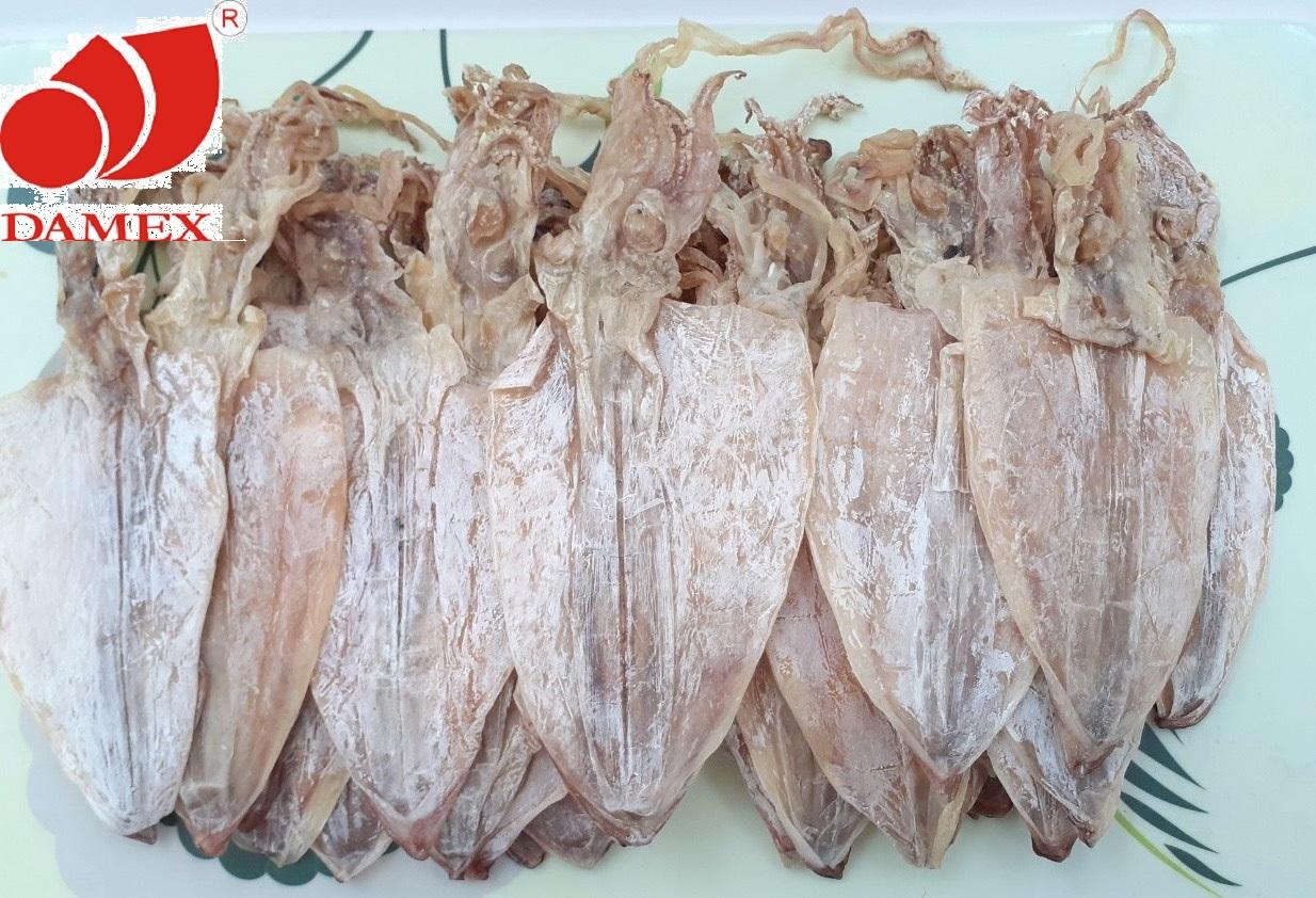 Khô mực damex size trung combo 21 con