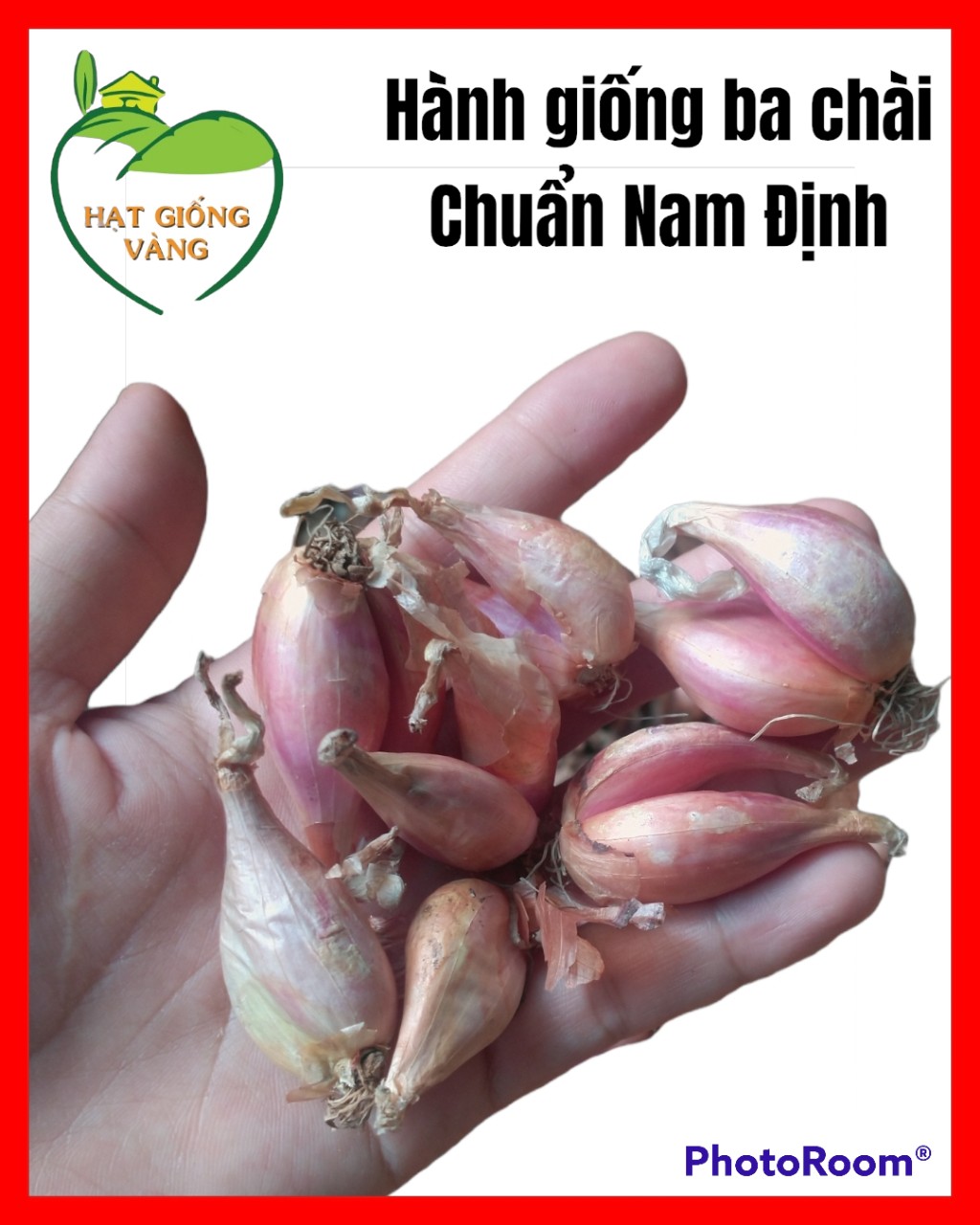 Hành lá - củ hành giống ba chài chuẩn Nam Định