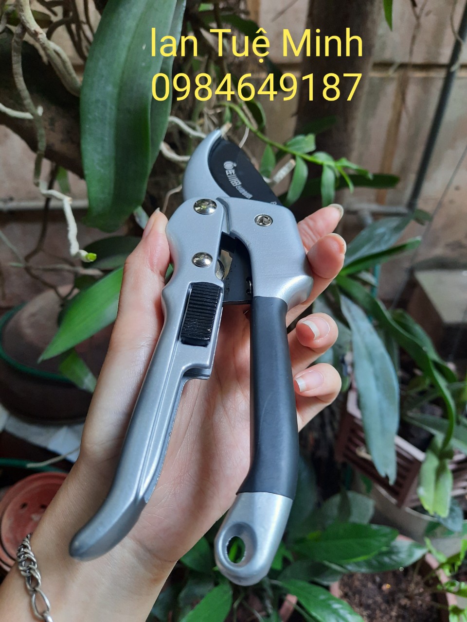 (HÀNG ĐÀI LOAN LOẠI 1) KÉO CẮT CÀNH CỘNG LỰC LƯỠI THÉP CARBON P869- CHẤT LƯỢNG CAO