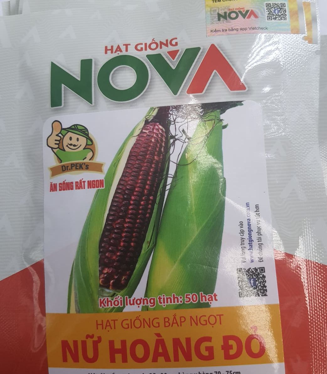 Hạt giống bắp nữ hoàng đỏ