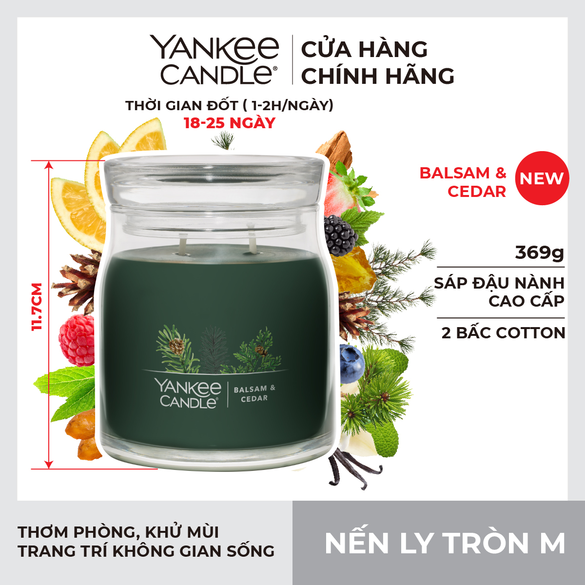 Nến ly tròn sáp đậu nành Yankee Candle size M - Balsam & Cedar