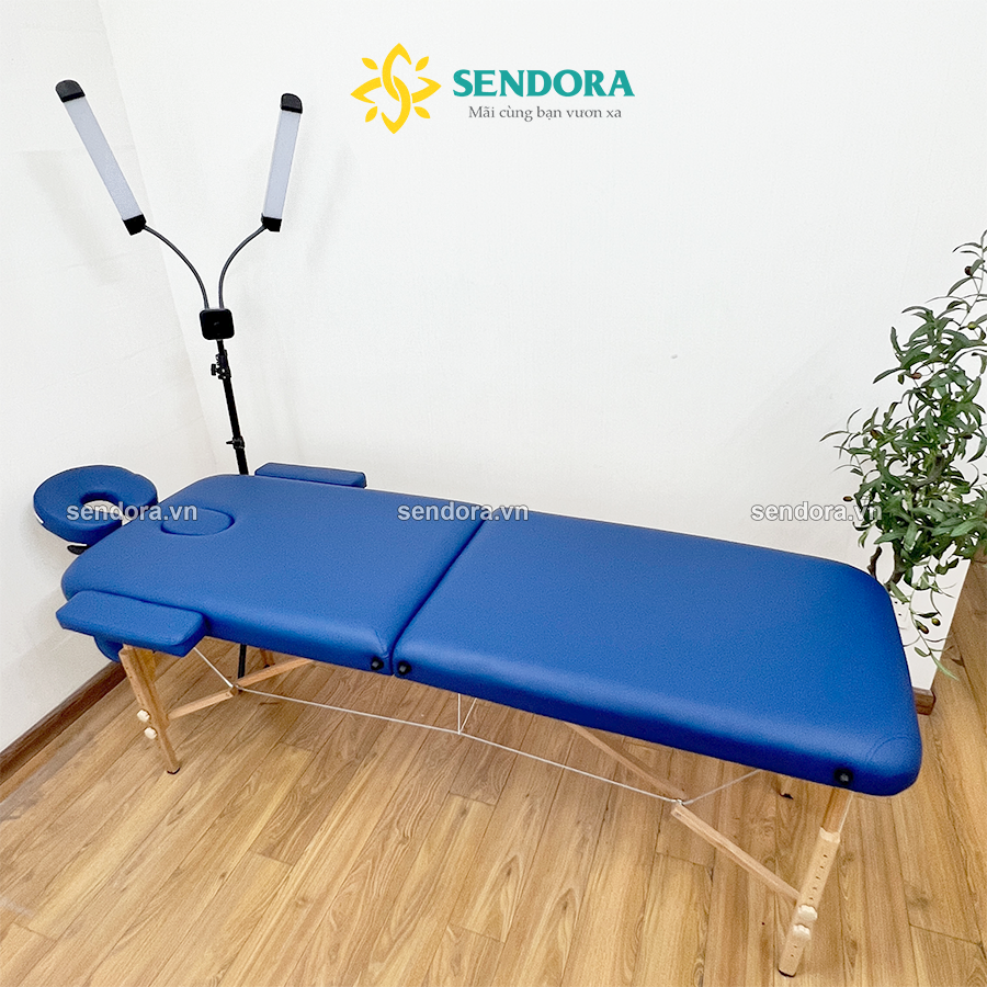 Giường gấp vali chân gỗ Full phụ kiện, giường Spa phun xăm xếp gọn Màu xanh - Hàng Nhập Khẩu