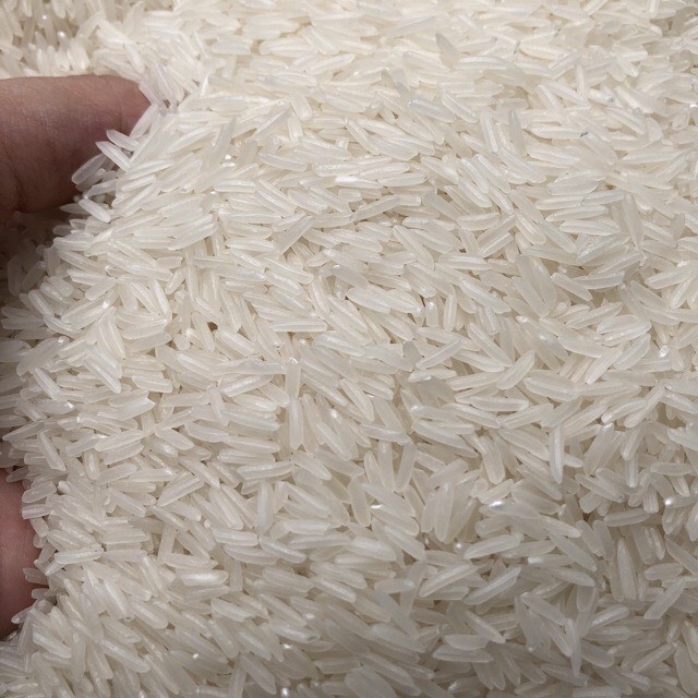 5Kg Gạo ST25 Đặc Sản Sóc Trăng - Gạo ngon nhất thế giới