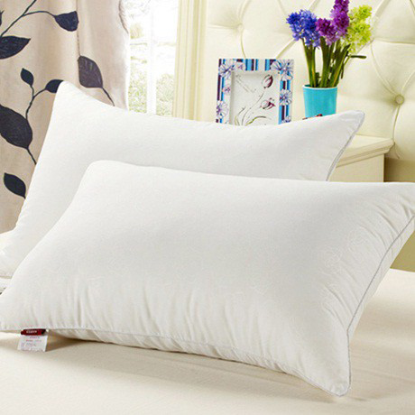 [ giá rẻ ] BỘ 2 GÓI ÉP HƠI (35 x 50cm) Gối Gòn, GỐI NGỦ, HÀNG VN CAO CẤP