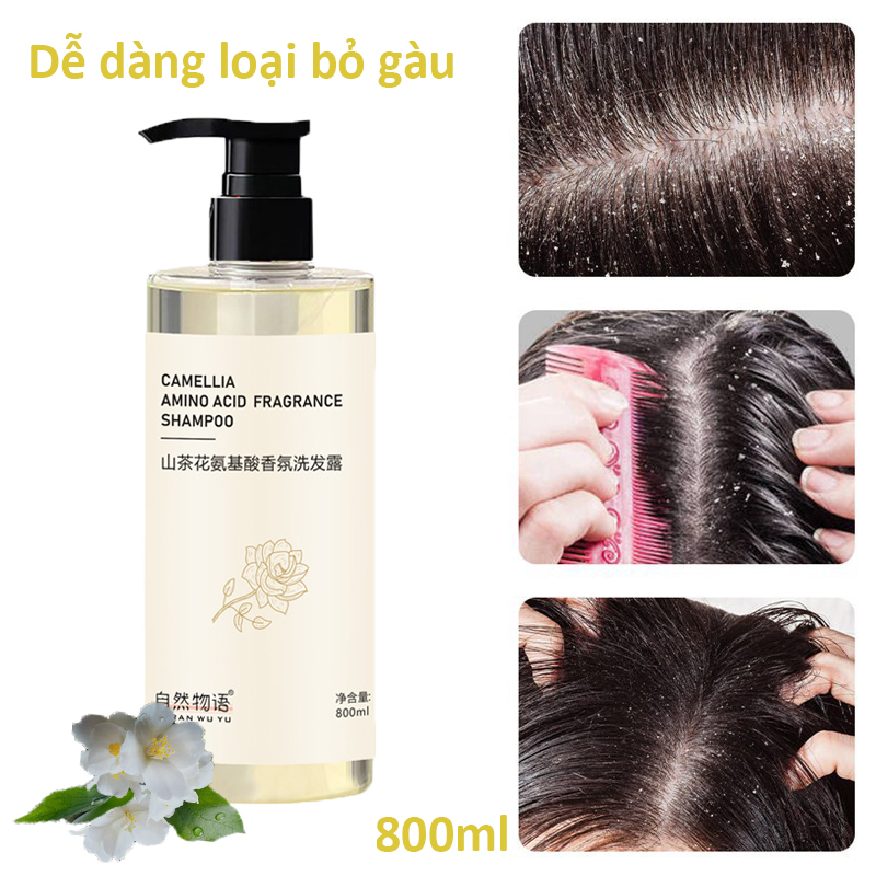 Dầu gội xóa sạch gàu dầu gội giảm ngứa800ml bồng bềnh kiềm dầu