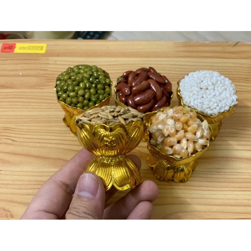 Combo 5 ly sen ngũ đậu chưng Thần Tài