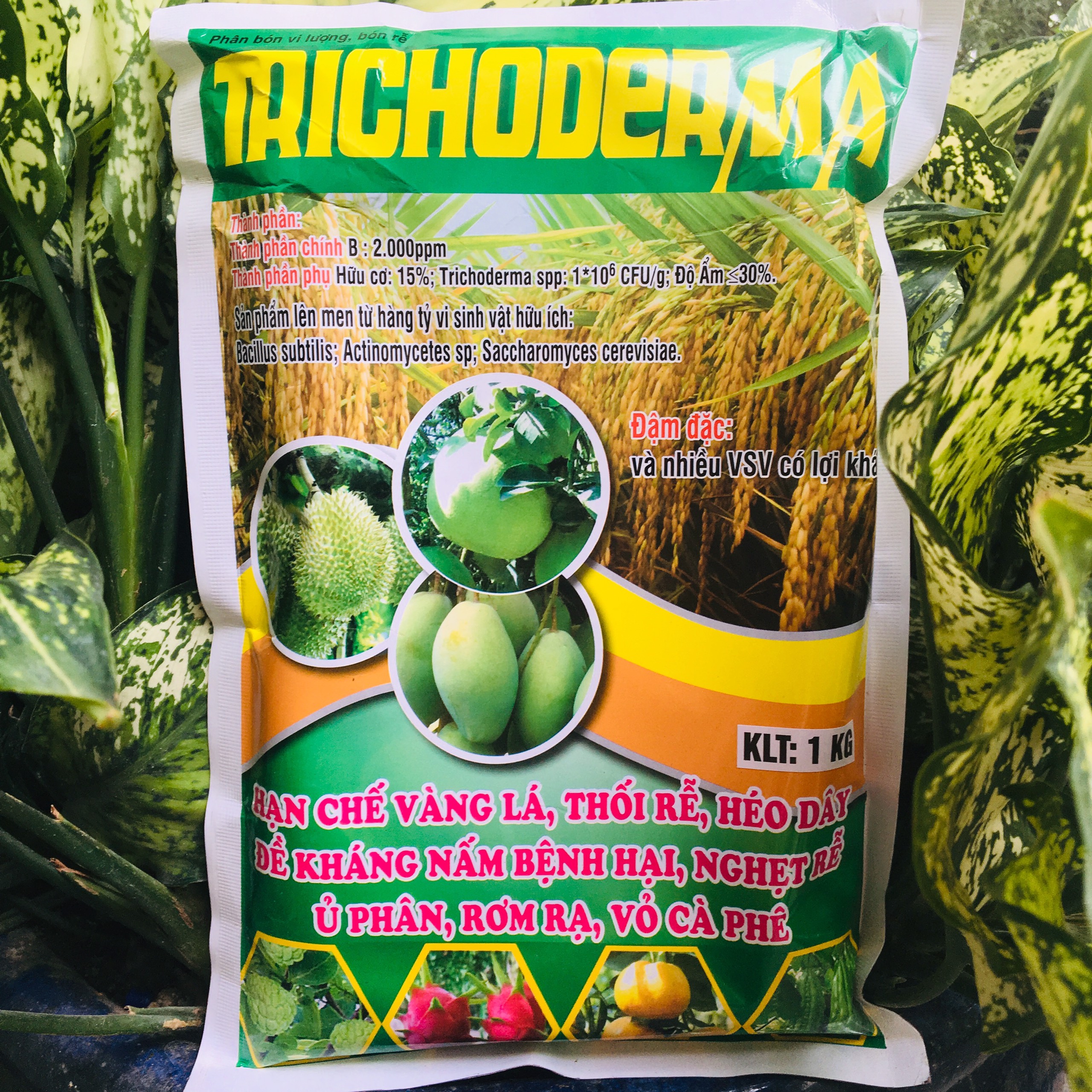 Nấm TRICODERMA ủ phân vi sinh phân hủy rơm rạ TRICHODERMA
