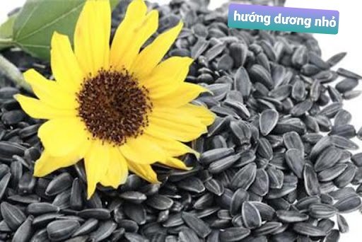 Hạt Hướng Dương nhỏ 1kg