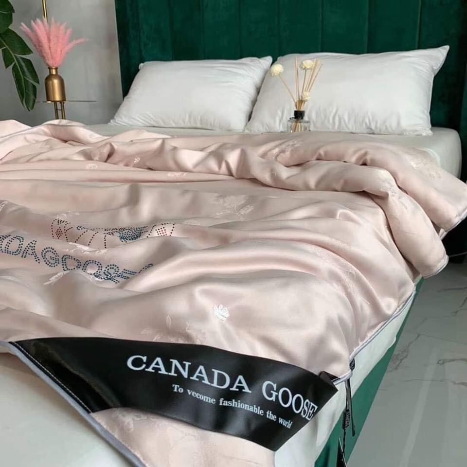 Chăn lụa tơ tằm hè - thu canada cao cấp hàng loại 1 mầu hồng